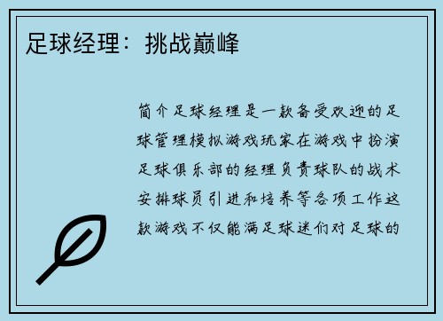 足球经理：挑战巅峰